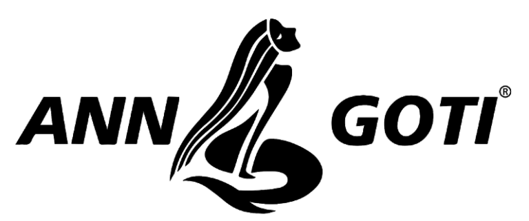 image of anngoti logo