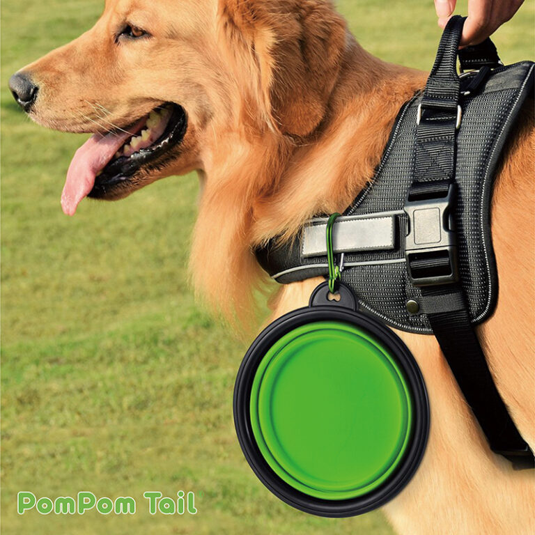 PomPom_Tail dog with harness