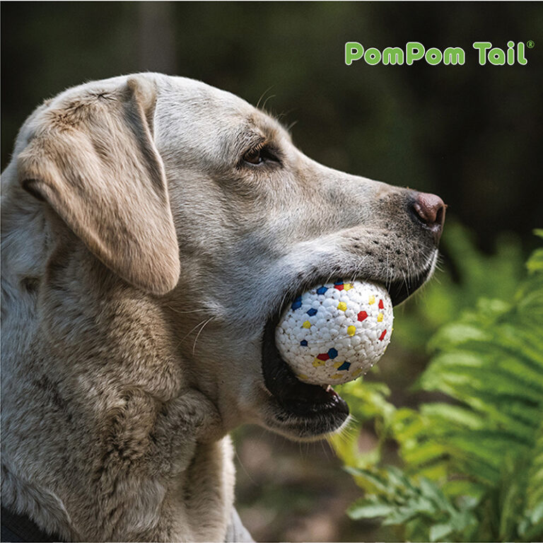 PomPom_Tail dog with ball