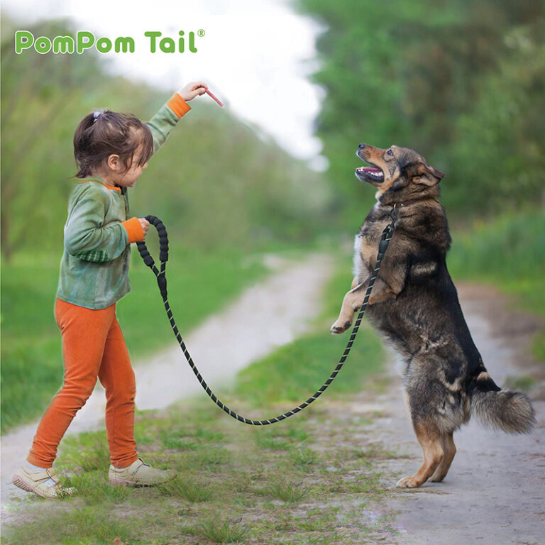 PomPom_Tail with child