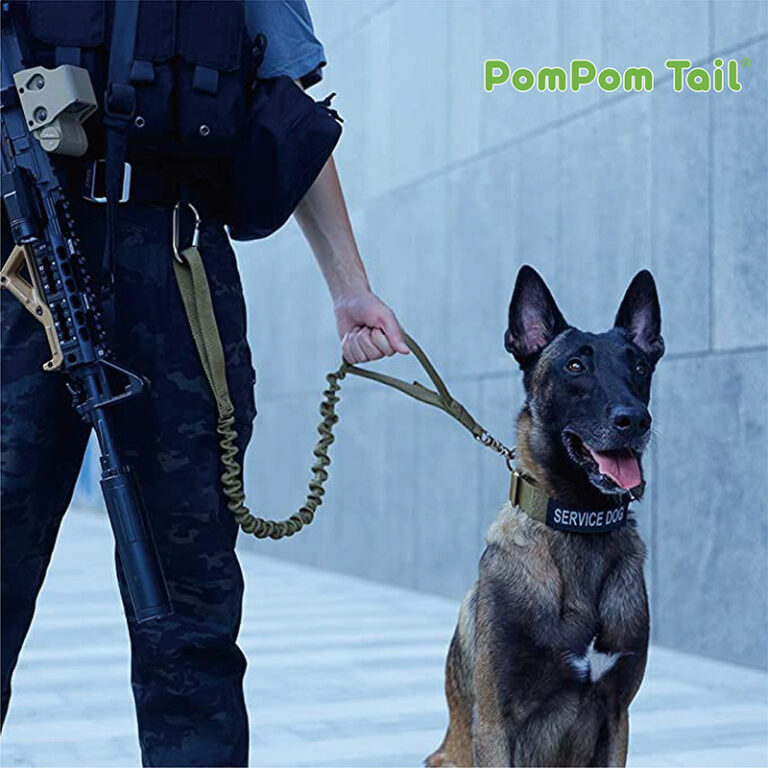 PomPom_Tail service dog