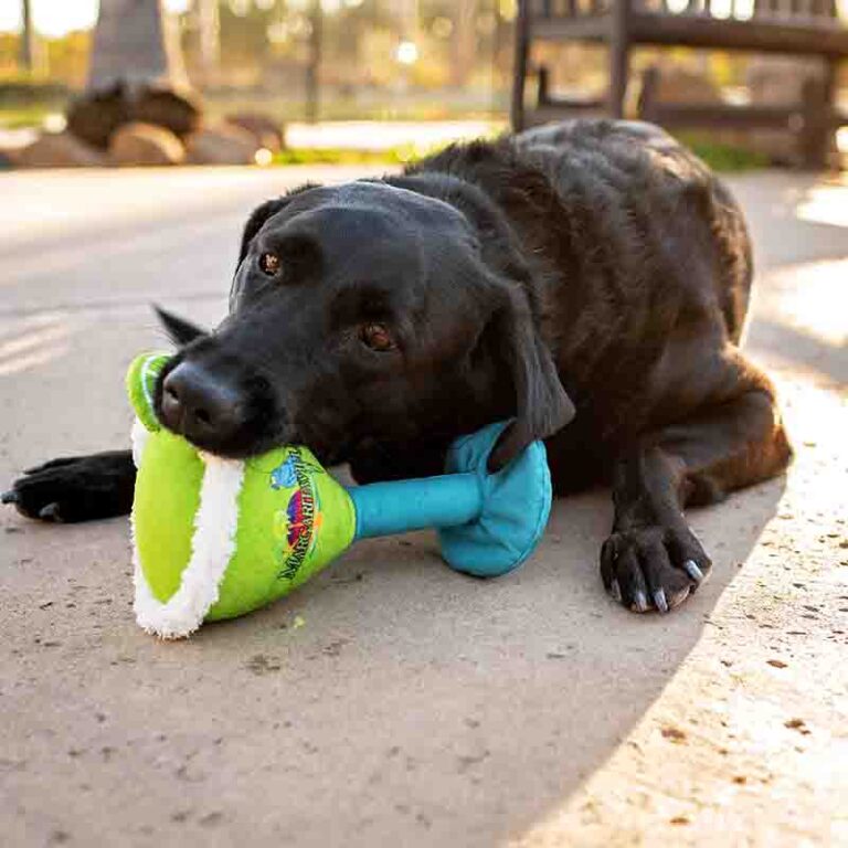 Multipets dog product Margaritaville