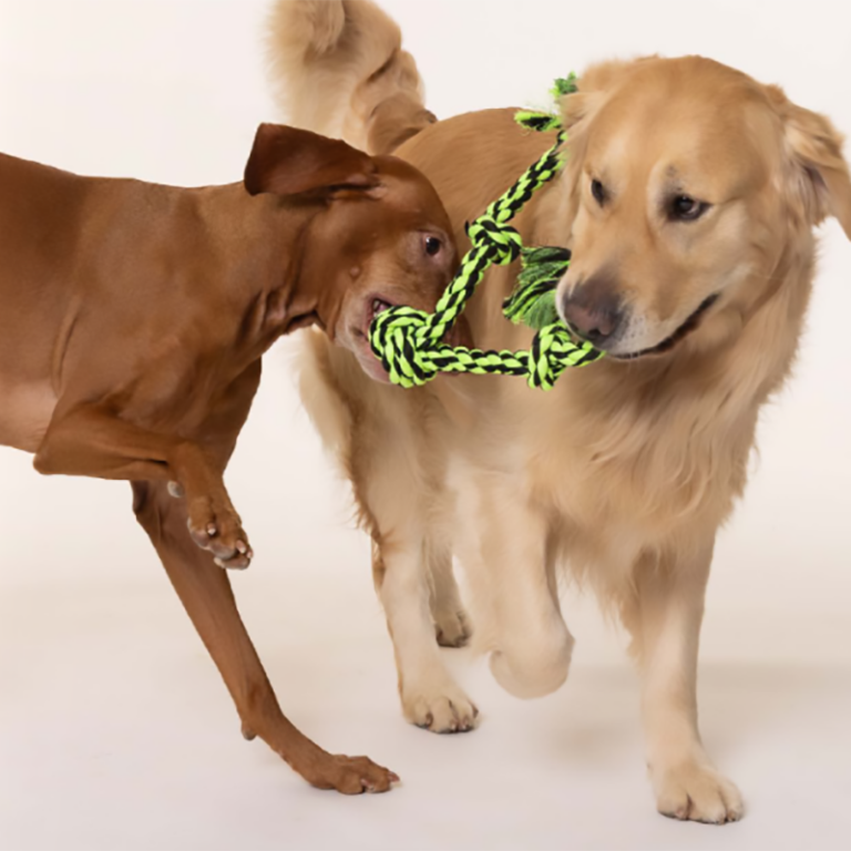 Multipets dog product