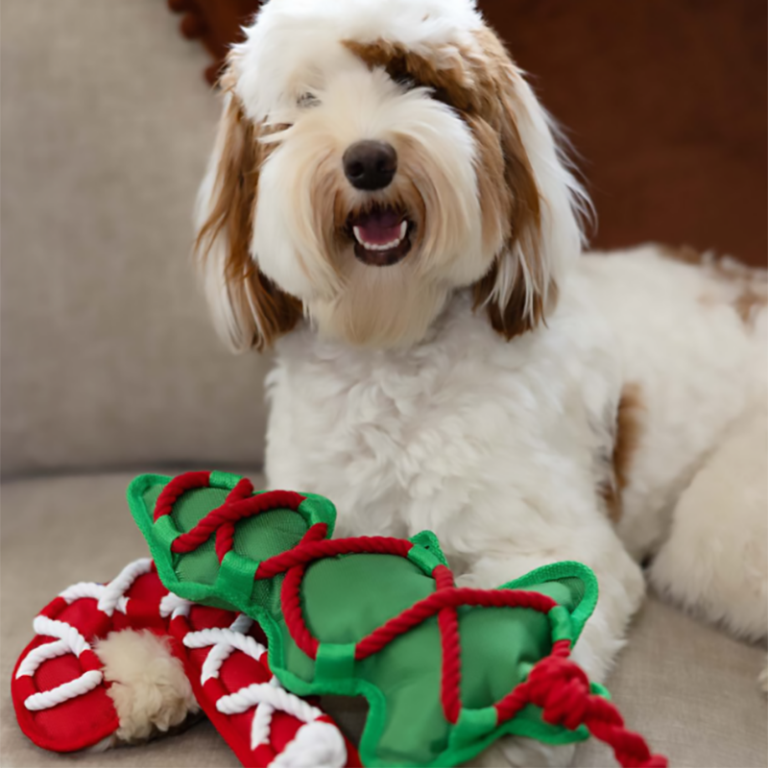 Multipets dog Christmas product