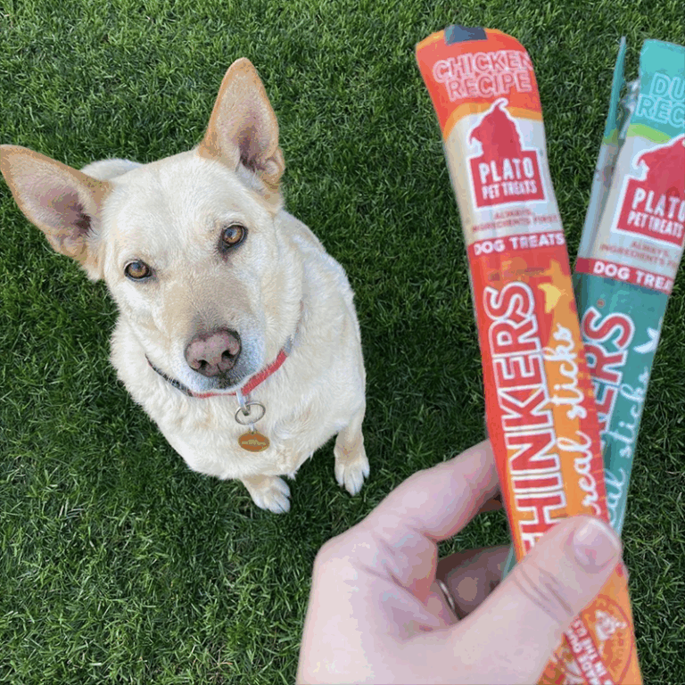 Plato Pet sticks