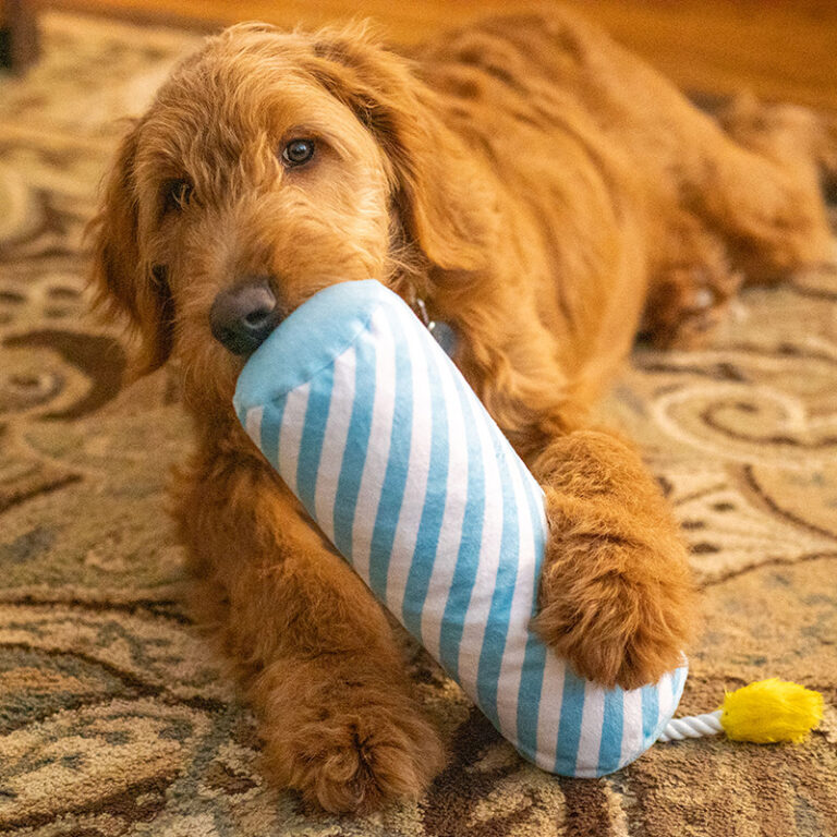 ThoozyPet candle