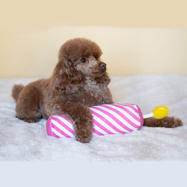 ThoozyPet candle pink