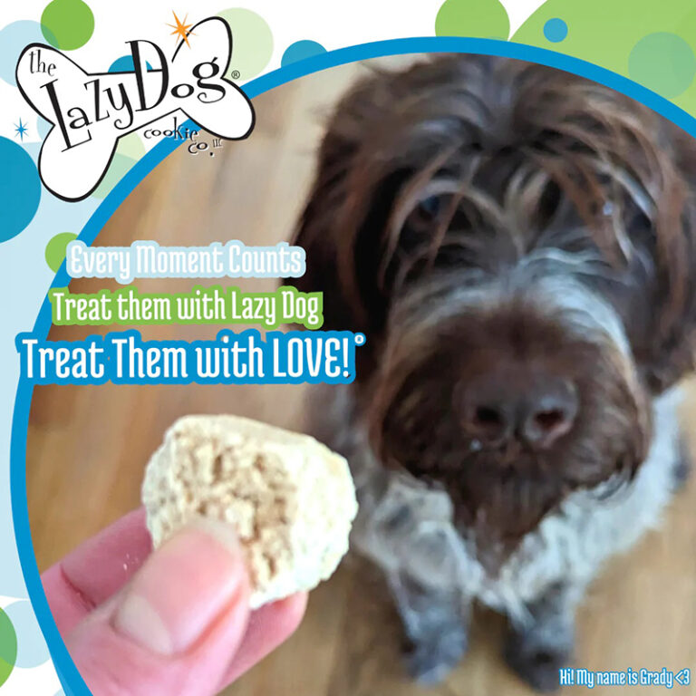 Lazy Dog treat