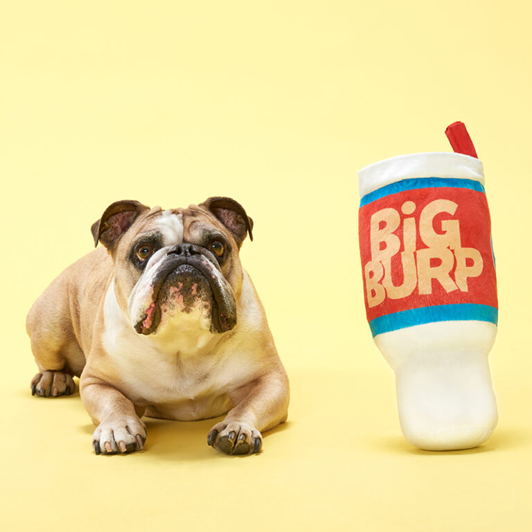 Pet Palette bark image bulldog with Big Burp